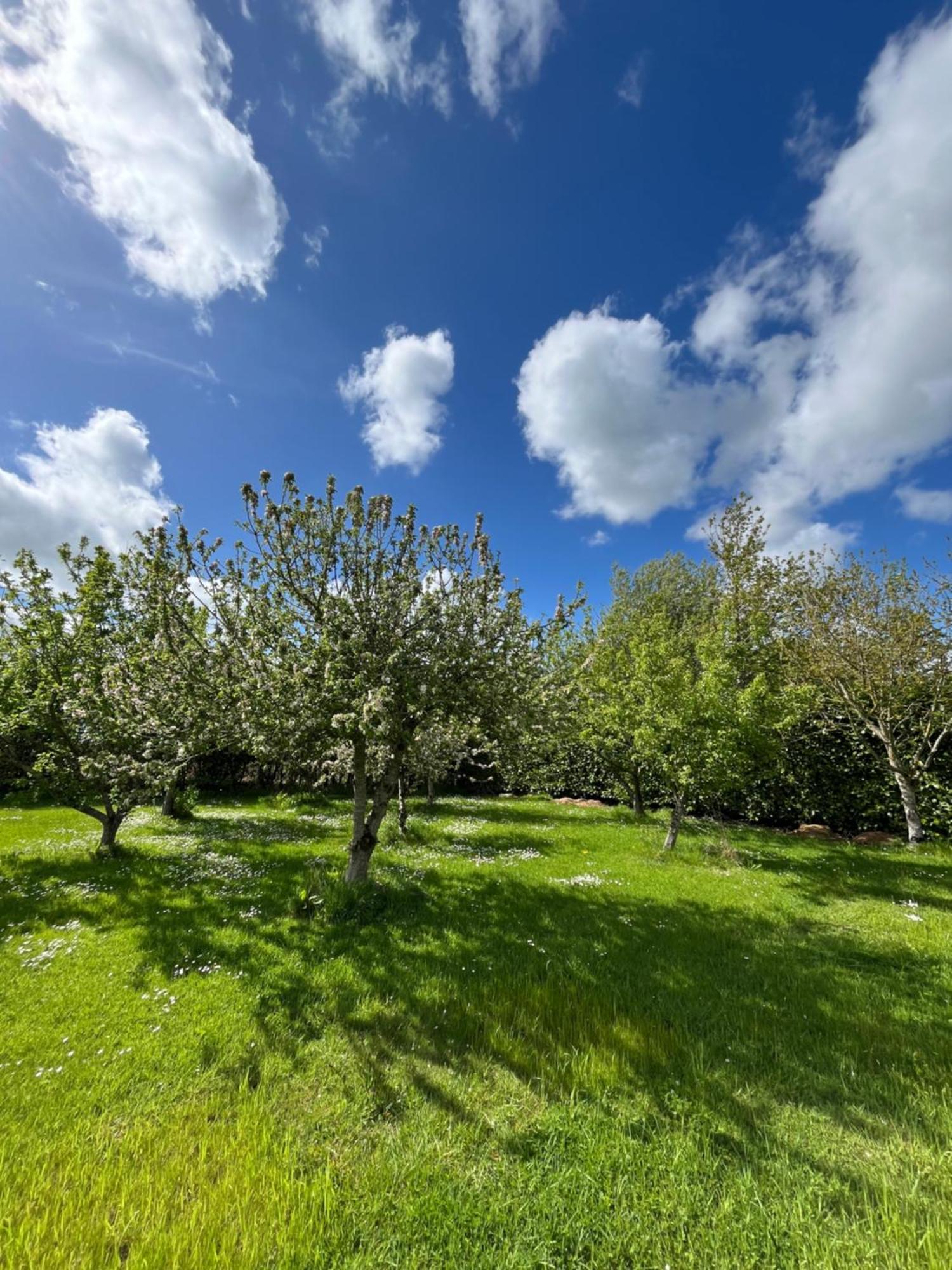Adare Countryside House & Private Garden